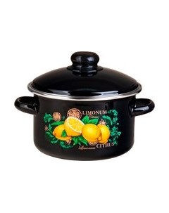 Кастрюля ЭСТЕТ Цитрус / ЭТ-75025 Эстет