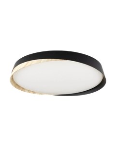 Потолочный светильник Citilux Bonny CL754451G