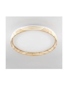 Потолочный светильник Citilux Enzo CL753452G