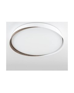 Потолочный светильник Citilux Bonny CL754450G