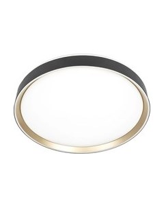 Потолочный светильник Citilux Boss CL751451G