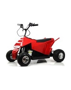 Детский квадроцикл M009MM Rivertoys