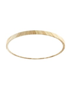 Потолочный светильник Citilux Бейсик CL738322V