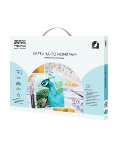 Картина по номерам Три совы Павлин / КХп_48157