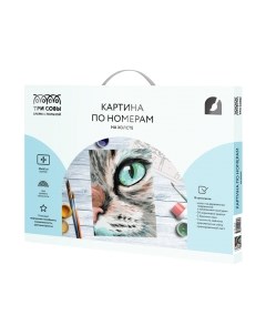 Картина по номерам Три совы Кошачий взгляд / КХ_44139
