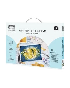 Картина по номерам Три совы Лимоны / КХп_48130