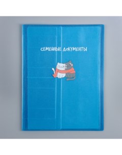 Папка для семейных документов «Котик» синий цвет, 4 комплекта документов, 19 карманов Имидж