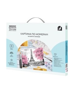 Картина по номерам Три совы Париж / КХп_48154