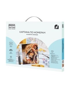 Картина по номерам Три совы Лев / КХп_48149