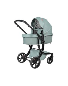 Детская универсальная коляска Aimile Pro 2 в 1 / A5-5