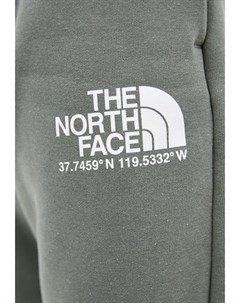 Брюки спортивные The north face