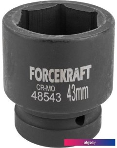 Головка слесарная FK-48543 Forcekraft