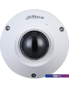 IP-камера DH-IPC-EB5541P-AS Dahua