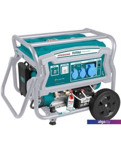 Бензиновый генератор TP165006 Total