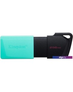 USB Flash DataTraveler Exodia M 256GB Kingston