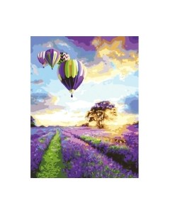 Картина по номерам Лавандовое поле / 662459 Остров сокровищ