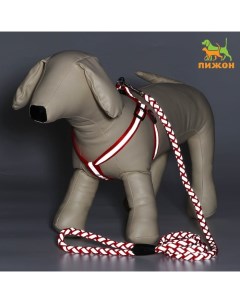 Комплект «Плетенка», флуоресцентный, поводок 115×1 см, ОГ 32-48×1.5 см, красный Пижон