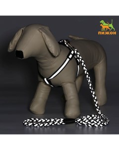 Комплект «Плетенка», флуоресцентный, поводок 115×1 см, ОГ 32-48×1.5 см, чёрный Пижон