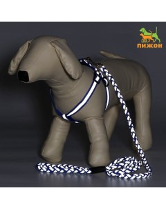 Комплект «Плетенка», флуоресцентный, поводок 115×1 см, ОГ 32-48×1.5 см, синий Пижон