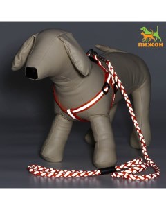 Комплект «Плетенка», флуоресцентный, поводок 115×1 см, ОГ 32-48×1.5 см, оранжевый Пижон