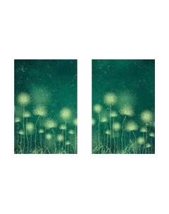 Постеры Citydecor Невесомость 16