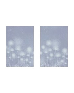 Постеры Citydecor Невесомость 19