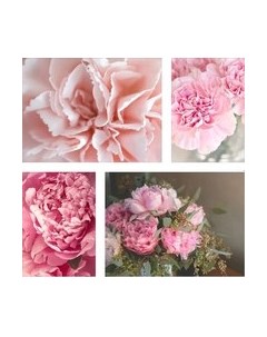 Постеры Citydecor Пионы 8