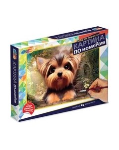 Картина по номерам MultiArt Йорк / CANV22X30-YORK Multiart