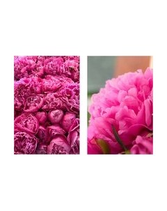 Постеры Citydecor Пионы 5