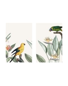 Постеры Citydecor Попугайчики 7