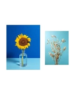 Постеры Citydecor Цветы 21