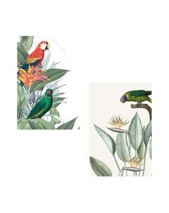 Постеры Citydecor Попугайчики 6