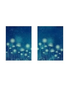 Постеры Citydecor Невесомость 12