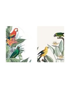 Постеры Citydecor Попугайчики 4