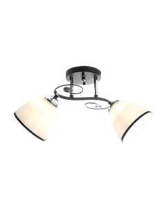 Потолочный светильник НПБ 02-2x60-101 / 10138/2 Aitin-pro