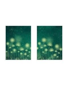 Постеры Citydecor Невесомость 20