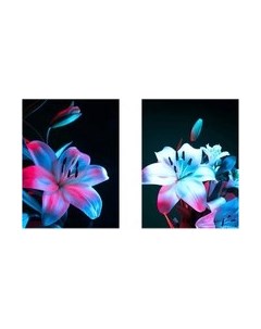 Постеры Citydecor Цветы 17