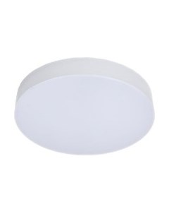Потолочный светильник Truenergy 11152