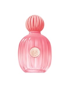 Парфюмерная вода Antonio Banderas The Icon Splendid Antonio banderas