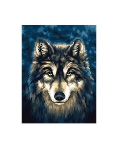 Картина по номерам Три совы Волк / КХ3040_53841