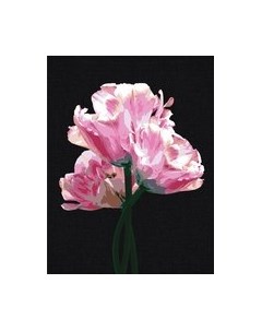 Картина по номерам Три совы Розовые цветы / КХп_48141