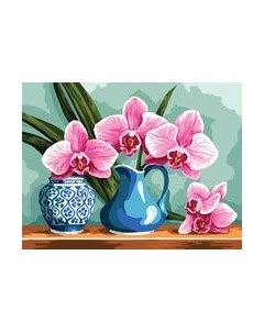 Картина по номерам Три совы Ветка орхидеи / КХ3040_53871