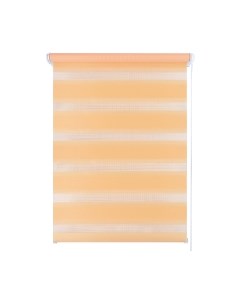 Рулонная штора День-Ночь 60x160 / 48 071 048 Legrand