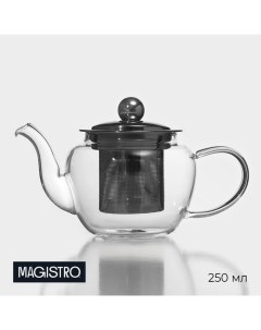 Заварочный чайник «Калиопа», 250 мл, 15×8×9 см, металлическое сито, стекло Magistro