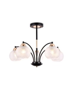 Люстра Ambrella TR9011/5 BK/TI