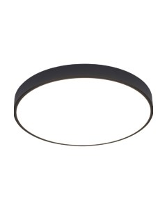 Потолочный светильник Arte Lamp Arena A2673PL-1BK Arte lamp