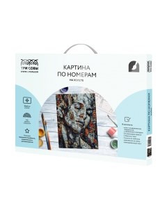 Картина по номерам Три совы Абстракция / КХ_44130