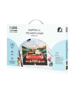Картина по номерам Три совы В лето на кабриолете / КХ_44122