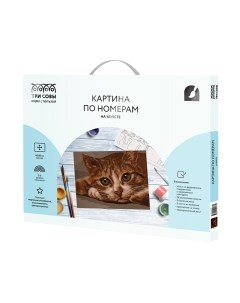 Картина по номерам Три совы Рыжик / КХ_44173