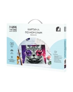 Картина по номерам Три совы Кошачий космос / КХ_44089